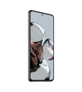 Xiaomi 12T 8GB+256GB (серебристый / Silver)