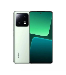Xiaomi 13 Pro 12GB+256GB (зелёный / Ceramic Flora Green)