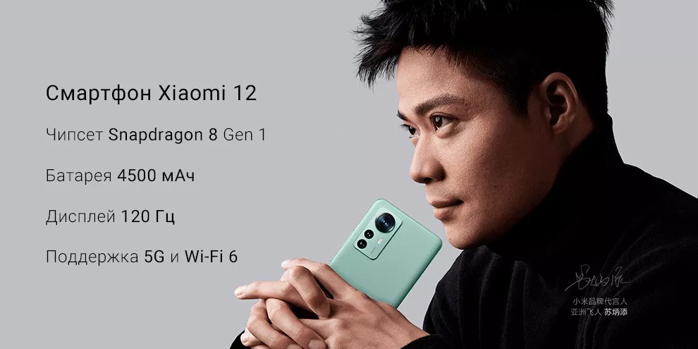 Xiaomi 12 8GB+128GB (серый / Gray)