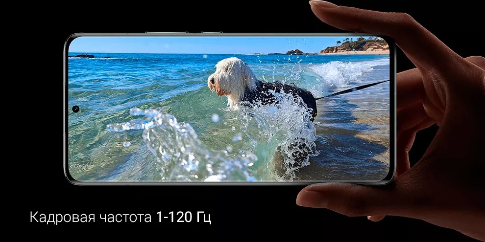 Xiaomi 13 Pro 12GB+256GB (зелёный / Ceramic Flora Green)