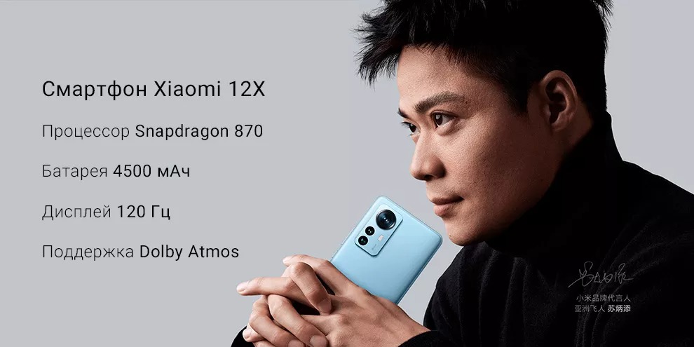 Xiaomi 12X 8GB+256GB (серый / Gray)